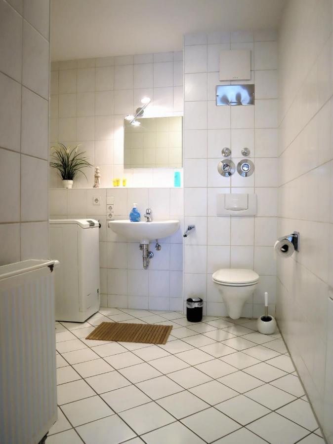 Exklusive Wohnung Mit Dachterrasse In Schleussig لبسيا المظهر الخارجي الصورة